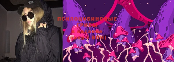 2c-b Лагань