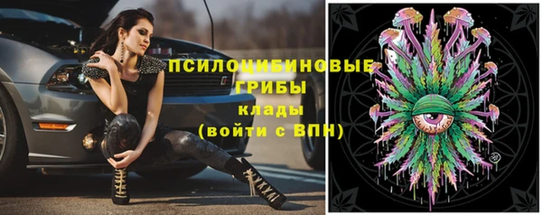 Альфа ПВП Лабытнанги