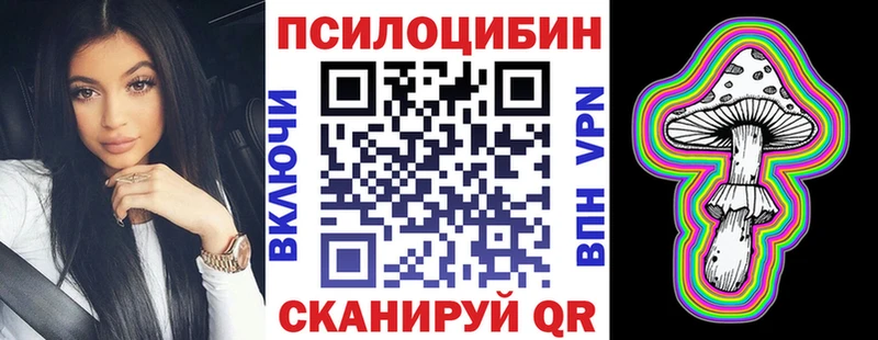 Галлюциногенные грибы Cubensis  KRAKEN как зайти  Ногинск  цены наркотик 