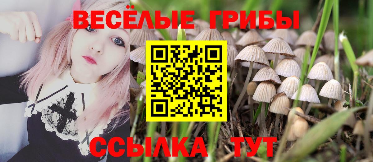 Псилоцибиновые грибы MAGIC MUSHROOMS Ногинск